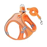 Jubilofex Set für kleine Hunde und Leinen, reflektierend, kein Würgen, ausbruchsicher, für Welpen, Kätzchen, Katzen, Weste mit reflektierenden Riemen, für Wandern, Camping, Ausflüge, Tierarztbesuche