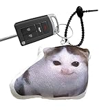 Sghtil Anhänger Für Schlüssel,Plüsch Katze Schlüsselanhänger - Weiches Modeaccessoires Für Erwachsene Jugendliche Paare Geburtstag Abschluss