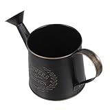 EPIGEIST Gießkanne aus Verzinktem Eisen Schwarze Blumengießkanne mit Langem Auslauf Robust und Kratzfest für Zimmerpflanzen und Garten Design für Drinnen und Draußen Platzsparend und
