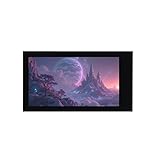 TUOPUONE 1,9 Zoll Touch-LCD-Display, Mikro-LCD-Display, 172 × 320 Auflösung, IPS, SPI und I2C Communication, 262K Farbdisplay