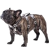 Huntboo Hunde Sicherheitsgeschirr, Sicherheitsgeschirr für Hunde, Vollständig Reflektierendes Geschirr mit Gepolstertem Griff, Wasserdicht, Verstellbare Weste (Schwarz, M)