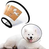 JIAMIAN Hundekegel Halsband, Verstellbar Haustier Halsband Anti-Bite Leck Wundkegel Heilen Schutzkragen, Elisabethanischer Kragen Schutzkragen Großer Hund (Halsumfang: 42-46cm)