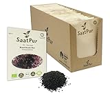 Basilikum Rot BIO Keimsaatz von SaatPur - Keimsprossen Sprossen Microgreen - Lebensmittel Qualität - Großes Tray mit 80 Portionstüten je 10g