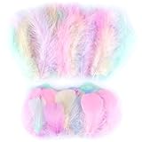 RISF 650 Stück Federn zum Basteln, Macaron Farben Federn, Bastelfedern, 5-15cm Bunte Federn zum Basteln für DIY Handwerk, Traumfänger, Hochzeit