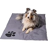 dobar® 60422 Kühlmatte für Hunde - Hundekühlmatte für Hund & Katze - selbstkühlende Matte für Haustiere - Hundedecke mit Kaltgel-Füllung - Kühldecke - 99,5 x 70 cm - Grau
