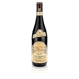 Tommasi - Amarone Valpolicella Classico 2019 | Italienischer Rotwein | Tiefgründige Intensität | Reife Fruchtaromen | Elegante Komplexität | (0.75l)