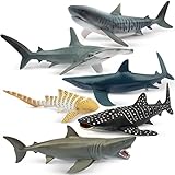 TOYMANY 6 Stück Hai Tiere-Figuren Set Ocean Spielfiguren Spielzeug 12-14CM Meerestiere Figuren Tierfiguren realistisch, Hai Spielzeug für Kinder,zum Spielen oder als Deko