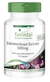 Fairvital | Zistrosenkraut Extrakt 500 mg - 90 Kapseln - 5-fach konzentrierter Cistus-Extrakt - Natürliche Quelle Polyphenole - 100% vegan - Qualitätsgeprüft und hochdosiert - Made in Germany