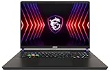 MSI Vector 17 HX Gaming Laptop, 17,0' QHD+ 240Hz, Intel Core i9-13980HX, NVIDIA GeForce RTX 4080, 32GB DDR5, 1TB SSD, Windows 11 Home, QWERTZ Tastatur, A13VHG-813, Cosmos Gray