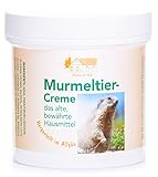 Pullach Hof Murmeltier und Aloe-Vera Creme, 250 ml