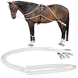 Shinylin Horse Leaders Trainings- und Longierhilfe Verstellbare Pferdetrainingshilfe mit Fleece-Bezug hinten für Longiergeräte