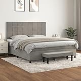 Fasba Boxspringbett mit Matratze Hellgrau 160x200 cm Samt, Modernes Bett Elegantes Polsterbett für Schlafzimmer Gästezimmer Apartments Gästebett3137851