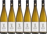 Vereinigte Hospitien Wiltinger -S- Riesling |VDP.Ortswein 2022 Trocken (6 x 0.75 l)