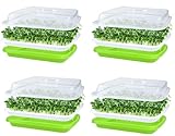 KAHEIGN 4Pcs Keimschalen für Sprossen, Seed Sprouter Tray 32cm x 26cm Keimschale Sprossen mit Deckel für große Samen Keimung Tablett Keimbox für Anzucht von Mungbohnen Alfalfa Weizengras