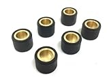 Variomatik Gewichte Satz 6g (16x13) Variogewichte für Roller & Scooter – Passend für Aprilia, Peugeot, Yamaha Aerox, Piaggio, Kymco uvm.