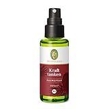 PRIMAVERA Raumspray Kraft tanken bio 50 ml - Zeder, Kardamom und Bergamotte - Aromadiffuser, Aromatherapie - stärkend - vegan