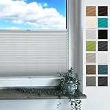 Rollmayer Plissee nach maß, Plissee mit Bohren 14 Farben 3 Profilfarben,Höhe 50-149 cm, Breite: 25cm-120cm, Plisseerollo Faltrollo Sichtschutz und Sonnenschutz für Fenster und Tür