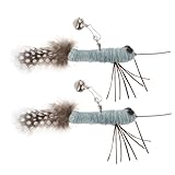 BAZEITFLOW 2 Stück Lustige Katzenstick-Nachfüllpackung für Katzen Katzenrutenspielzeug interaktives katzenspielzeug Insekten-Design Katzenspielzeug Ersatz für den Katzenstab Kätzchenspielzeug