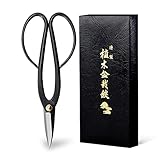 Wazakura Bonsai Schere - Ashinaga Modell, Karbonstahl, 20 cm, Made in Japan - Schere zum Trimmen von Ästen, Blättern, Wurzeln und Trieben