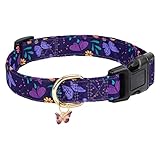 Gelwoo Hundehalsband mit Schnalle, verstellbar, für süße Mädchen, weibliche und Jungen, besonders weich und ausgefallen, mit Blumen-Design für kleine, mittelgroße und große Hunde (S, violetter