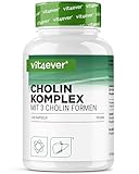 Cholin Komplex mit 3 Cholin Formen - 120 Kapseln - Bitartrat, Citicolin & Phosphatidylcholin in synergetischer Kombination - Ohne Zusätze - Vegan