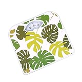 TRADIZIONELLE MECHANISCHE PERSONENWAAGE ANALOGE, SKALA FÜR 130KG BR2019, EINFACHE KALIBRIERUNG, STABILES METALLGEHÄUSE, LEICHT ABLESBAR, Blätter