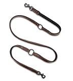 Hundeleine Leder 2,0m Premium Hunde Leine aus Büffel-Leder und Neopren | Schwarze Edelstahl-Karabiner | Hunde Führleine mehrfach verstellbar - Tamy (Dunkel-Braun)