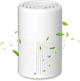 Luftreiniger Allergiker, H13 HEPA Luftfilter Air Purifier, USB Tragbarer Luftreiniger mit Aromatherapie, Leises Rauschen Raumluftreiniger für Rauch, Staub, Schimmel, Tierhaare & Gerüche