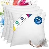wometo 4er Set Federkissen 100% Federn 40x40-300g Oeko-TEX Sofakissen Kissen Füllkissen Bezug Baumwolle weiß/Innenkissen/Kissenfüllung/kleine Kopfkissen (4 Stück)