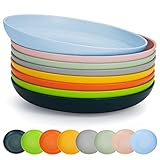 Berglander teller set 8 Farben 23cm Wiederverwendbares für Nudelschalen Vorspeisen Fallfest Dessertkorn Ramen BPA-freies Mikrowellenfest Spülmaschinenfest
