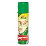 Neudorff Permanent UngezieferSpray – Zur zuverlässigen Bekämpfung von kriechenden und fliegenden Insekten in allen Wohnräumen mit Sofortwirkung, 500 ml