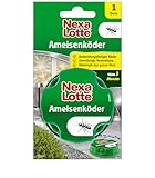 Nexa Lotte Ameisenköder – Effektive Ameisenbekämpfung für Haus & Terrasse, Langzeitwirkung bis zu 3 Monate, 1 St, Grün