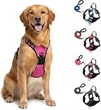 Fellstern Anti-Zieh-Geschirr, 2026 New Anti-Zieh Hundegeschirr mit Step-in Design – Atmungsaktiv & Gepolstert – für entspanntes Spazierengehen – Kontrolle ohne Ziehen – Für Hunde jeder Größe (S-XL)