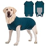 Axcimond Hundebody Nach Op Leckschutz Op Body Hund Kastration Hündin Rüde Medical Pet Shirt Hund Einteiler Wundschutzanzüge für Hunde Mit Klettverschluss Alternativen zu Kegel und Halskrause Blau L