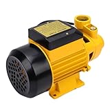 Eujgoov Kreiselpumpe 650W 35M Förderhöhe 40L MIN 1 Zoll Anschlüsse für Home Pressure Booster Bewässerungssystem