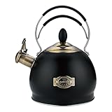 2.6L Pfeifkessel aus Edelstahl Mit Hitzebeständigem Griff, geeignet für alle Herdarten, einschließlich Induktion