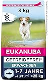 Eukanuba Hundefutter getreidefrei mit Fisch für kleine und mittelgroße Rassen - Trockenfutter für ausgewachsene Hunde, 3 kg