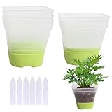 Trendecor 6 Stück Anzuchttöpfe, Pflanztöpfe Transparent mit Silikonsockel 8cm mit 6 Pflanzetiketten Wiederverwendbar Blumentöpfe aus Kunststoff für Sukkulenten Samen Setzlinge Grün