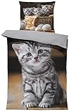 Katzen Bettwäsche 135x200 cm süße Katze Welpen Baby Kitty grau Wende Microfaser