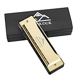 EastRock Blues Mundharmonika mit 10 Löchern, mit Harmonikabox, geeignet für Profis und Amateure, Studenten und Erwachsene, Band Gold