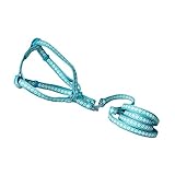 FUTUREORYY Reflektierende Hundeleine aus Strapazierfähigem Material Verstellbare Leine für Kleine und Mittelgroße Training Spazierengehen und Joggen Knitted Design für Optimalen