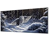 Malen Nach Zahlen Erwachsene Eule, Winter Malen Nach Zahlen Leinwand, DIY Bastelset Erwachsene Paint by Numbers mit Pinseln und Acrylpigment für Wand Deko, Geschenke für Frauen 20x40cm, Model-1207