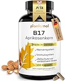 180 Aprikosenkerne Kapseln mit 1100mg Aprikosenkern-Extrakt pro Tag (2 Kapseln) - enthält natürlicherweise unstandardisiertes Vitamin B17 + pflanzliches Vitamin C aus Hagebutte - 3 Monatsvorrat