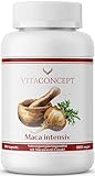 VITACONCEPT I Maca intensiv I 10000 mg pro Kapsel (20:1 Extrakt aus 500 mg) I 180 Kapseln I laborgeprüft I vegan I höchste Pharma-Qualitätskriterien