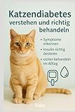 Katzendiabetes verstehen und richtig behandeln: Ein Leitfaden für den sicheren Alltag mit deiner Katze