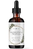 Nordic Pure Chlorophyll flüssig aus Luzerne 100 ml flüssiges Chlorophyll von Nordic Pure 200 mg flüssiges Chlorophyll pro Tagesdosis Chlorophyll-Tropfen als Alternative zu Chlorophyll-Tabletten