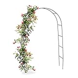 Hi Gartenbogen für Kletterpflanzen und Rosen – 140 x 240 x 37 cm – Gartentor – Rosenbogen Metall – für EIN Märchenstück im Garten