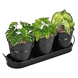 Kräutertöpfe für Drinnen Und Draussen， 3er Set Kräutertopf Küche Mit Tablett， Kräutergarten Küche Küchenkräuter Topf Kräutertopf Balkon Pflanzenanzuchttöpfe für Pflanzen, Blumen, Sukkulententöpfe