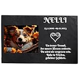 Bl4ckPrint Grabplatte Hund und Katze mit Foto und Gravur | Grabmal Wetterfester Gedenkstein Grabstein mit Foto Tiergrabstein 20x30cm