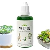 Wezalget Wurzelstimulator Für Pflanzen - Flüssiger Bewurzelungshelfer - 50ml Biologische Lösung Schnelles Wachstum Sicher Für Kompost Bäume Rosen Rasen Hydrokultur Tomaten Blumen Früchte Stecklinge